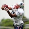 FOXBORO, MA - JULY 31:  Greg Lewis #17 of the New England Patriots makes a catch during training camp on July 31, 2009 at Gillette Stadium in Foxboro, Massachusetts.  (Photo by Elsa/Getty Images)