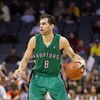 CHARLOTTE, NC - MARCH 16:  Jose Calderon #8 of the Toronto Raptors dribbles the ball against the Charlotte Bobcats during their game at Time Warner Cable Arena on March 16, 2009 in Charlotte, North Carolina.  NOTE TO USER: User expressly acknowledges and 