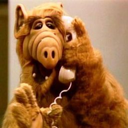 andy miller