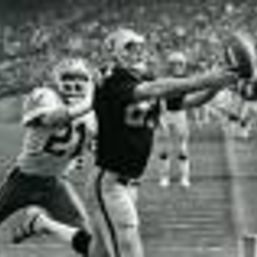 Raider Bob