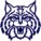 ASM WILDCAT