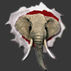 CrimsonTusks.com