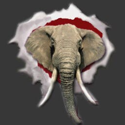 CrimsonTusks.com