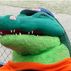 Gator Fan