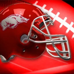 tennhogfan