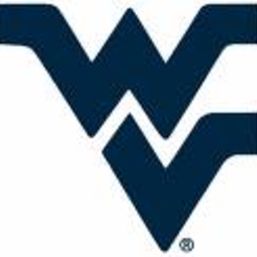 WVU  Fan