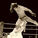 Sabotage MMA