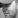 Andrew Rout
