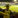 Shaun Murphy