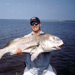 GatorHerb