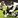 Spurs-RoundTable .
