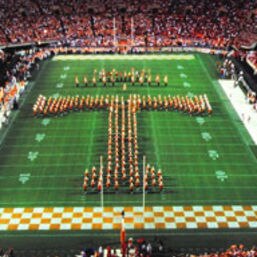 Dorothy Thornton