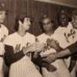 Mets Police