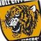 Th1_15200952hull_city_thumb_60x60