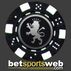 BSW Writer none