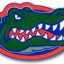 O-town Gator