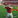 Brian Wagner