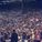 Chelsea Loyal