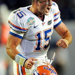 Florida Gator