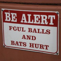 GetOutofMyBallpark