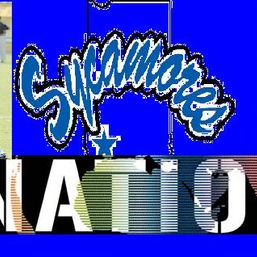 Sycamore's Nation