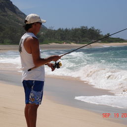 hawaiiR8dr