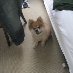 Von