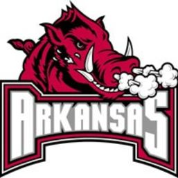 Razorback Fan