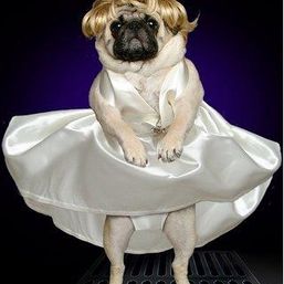 Pudge Woburn