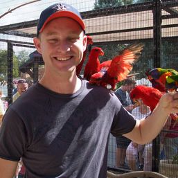 Matt Laas