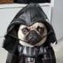 darth evader evader