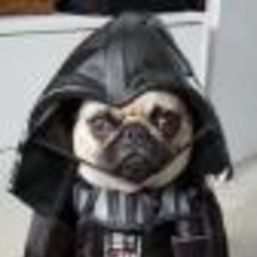 darth evader evader
