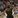 Dalton Scantling