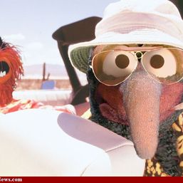 Gonzo Barnicles