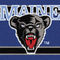Maineblackbears_thumb_60x60