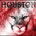 Htown Coog