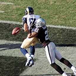 RaiderNation81