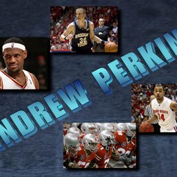 Andrew Perkins