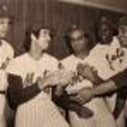 Mets Police
