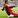 Tom Higson