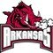 Razorback Fan
