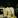 Ramone  Brown