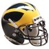 The Wolverine