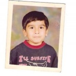 danish waris