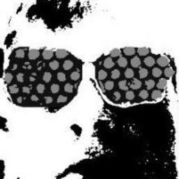 Stephen Haynes