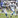NFL Patrol