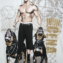 john cena rottweiler